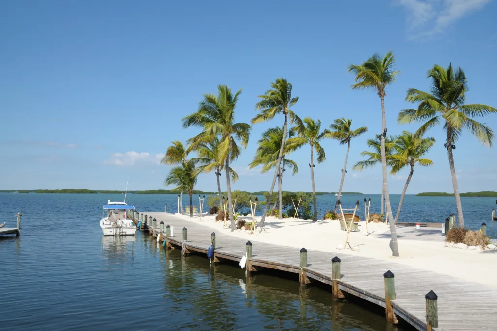 jetty and palm trees trending destination florida keys